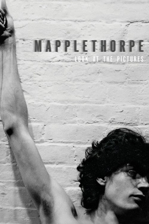 Mapplethorpe: Look at the Pictures Movie Poster Image