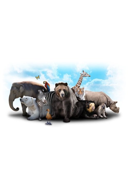 Le Serengeti, théâtre insolite de la faune sauvage (2014) poster