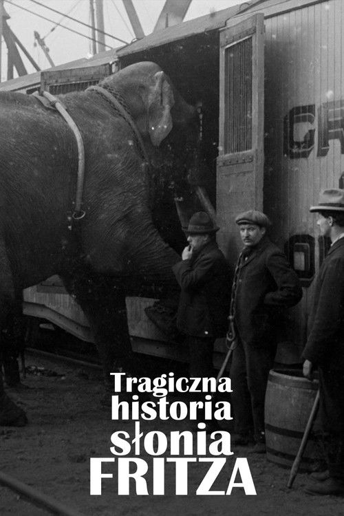 La Tragique Histoire de Fritz l'éléphant