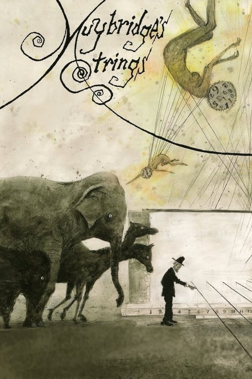 Muybridge's Strings Movie Poster Image