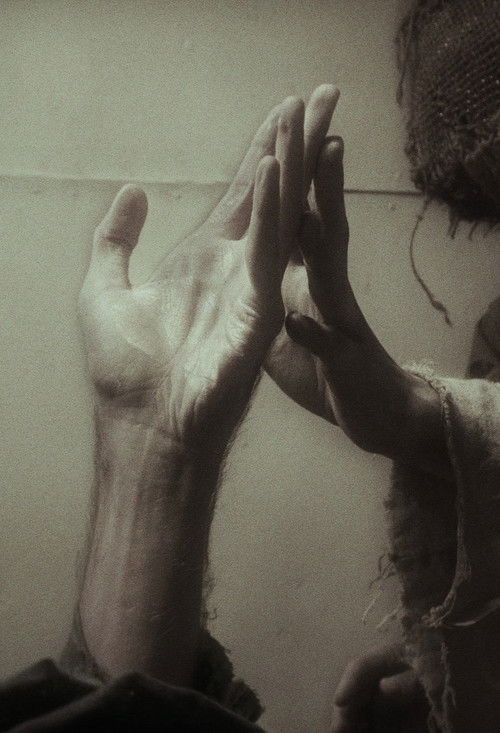 Affiche de Песни лунного короля