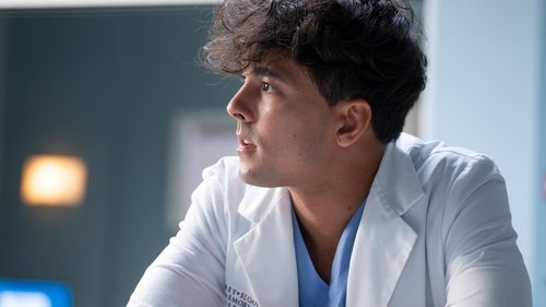 Grey’s Anatomy: 20×6