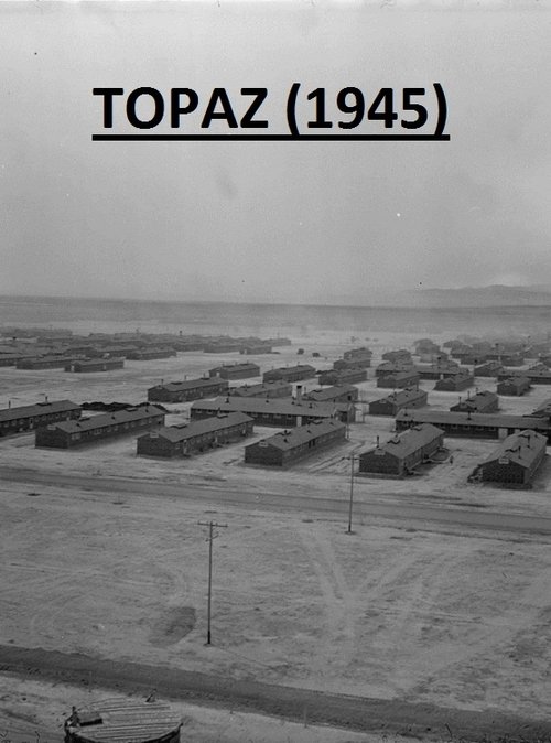Topaz movie poster player
