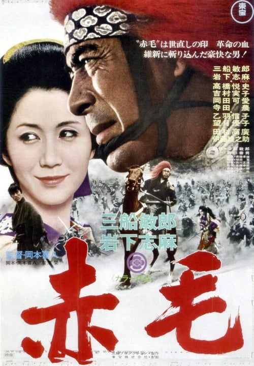 Poster 赤毛 1969