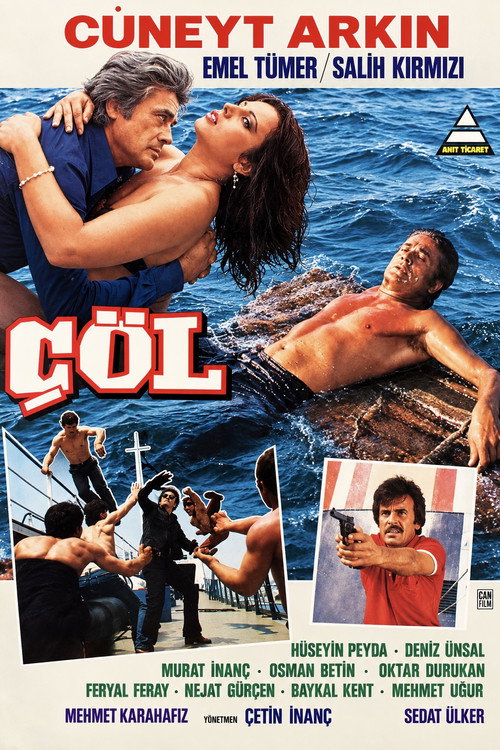 Affiche de Çöl