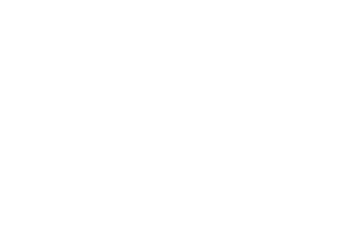 फोर्स २