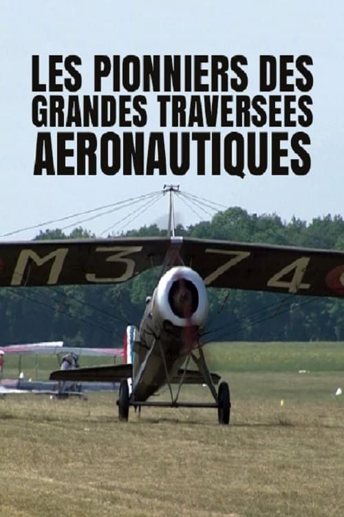 Les pionniers des grandes traversées aéronautiques (2014)