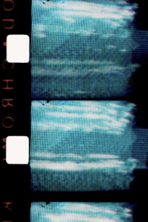 Anthropométrie (1987) poster