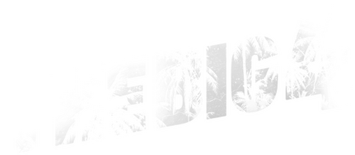 The Big 4