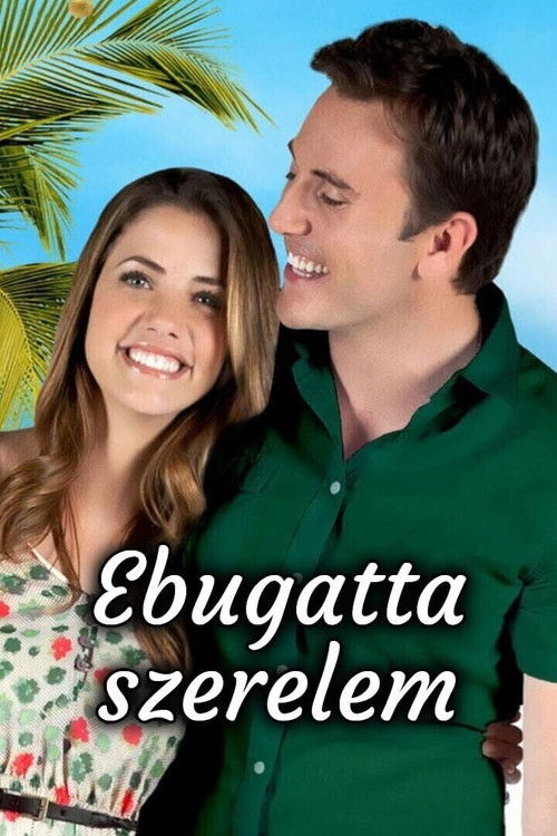 3 Holiday Tails poster