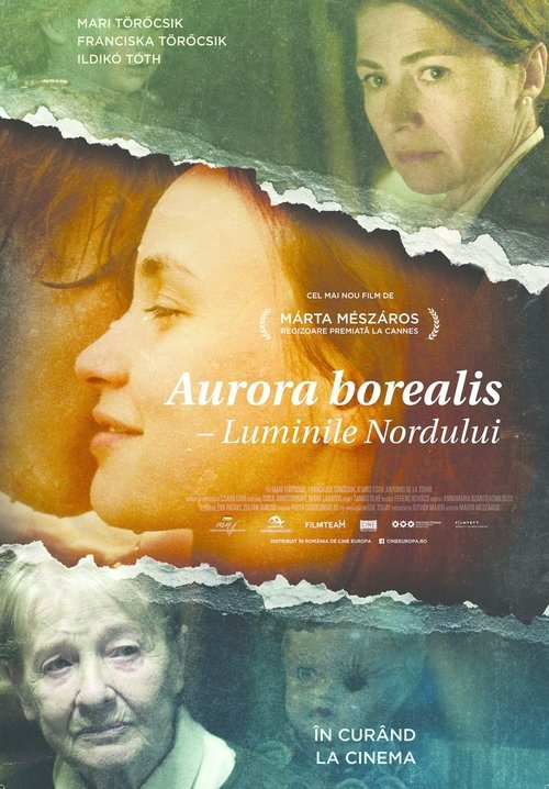Poster pentru Aurora Borealis: Luminile Nordului