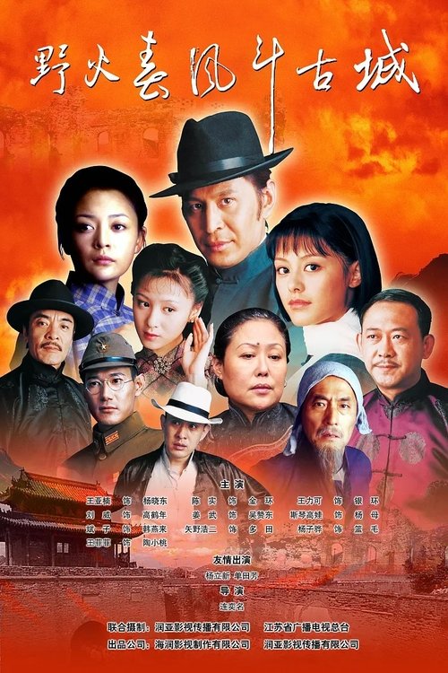 野火春风斗古城 (2005)