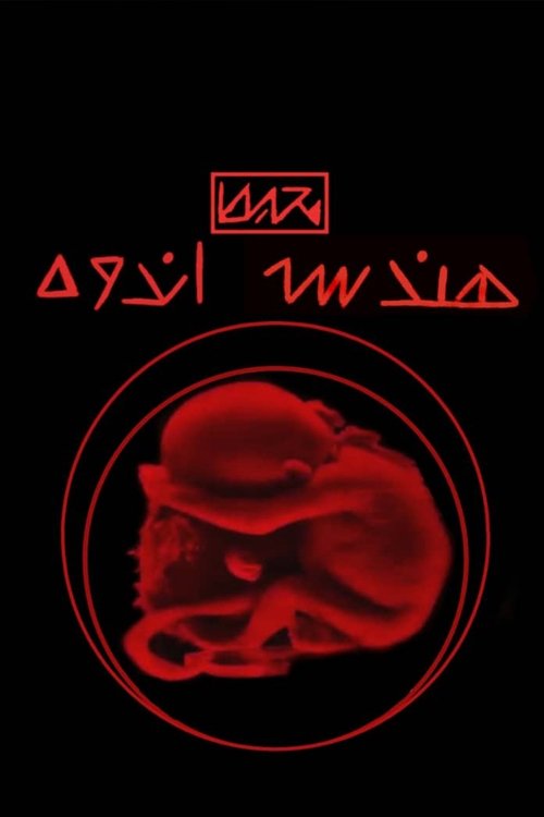 هندسه اندوه movie poster player