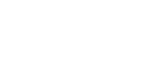 In the Line of Duty VI: Forbidden Arsenal