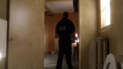 Poster della serie NCIS