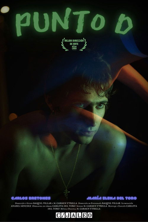 Punto D poster