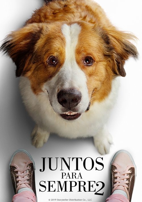 Pôster de Juntos para Sempre