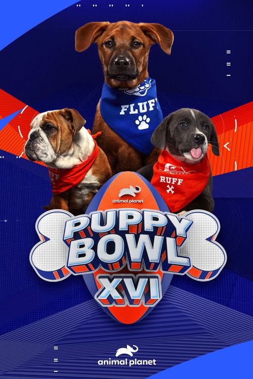 Affiche du film Puppy Bowl XVI