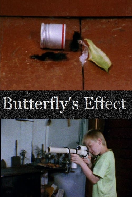 Butterfly's Effect (2013) poster