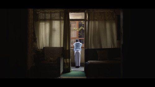 Hawaman Backdrop Blur