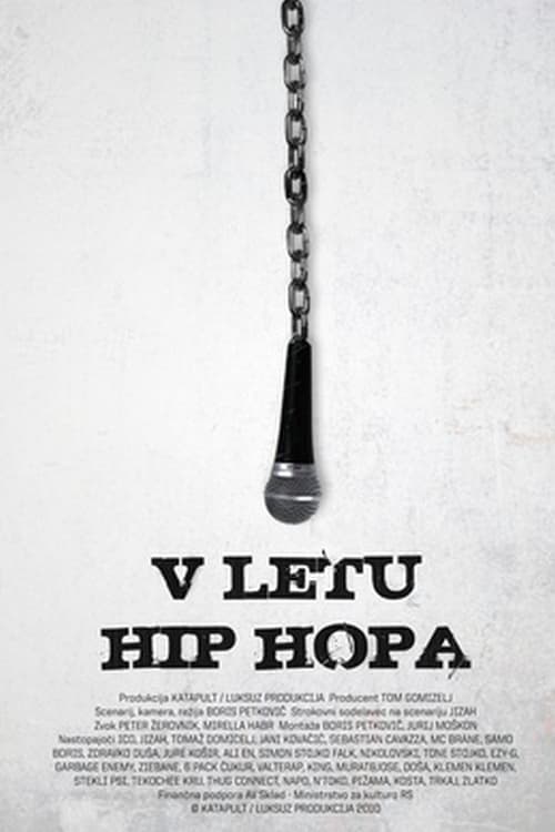 V letu hip hopa (2011) poster