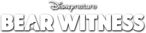Bear Witness