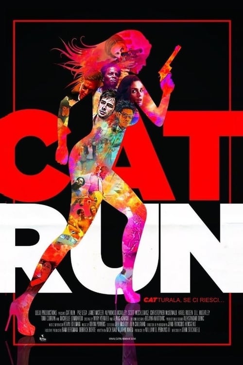 Cat Run