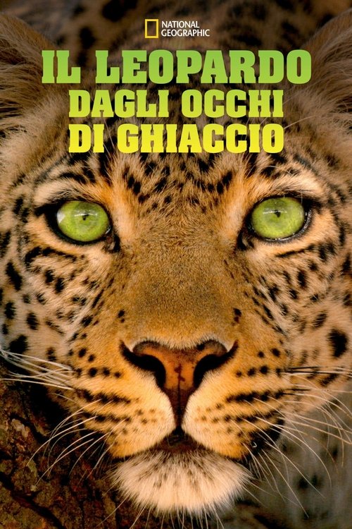 Jade Eyed Leopard