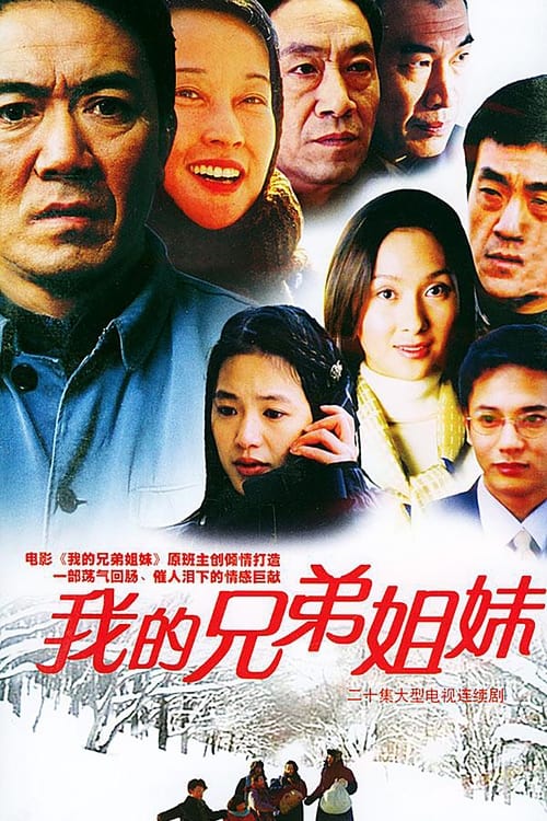 我的兄弟姐妹 (2004)