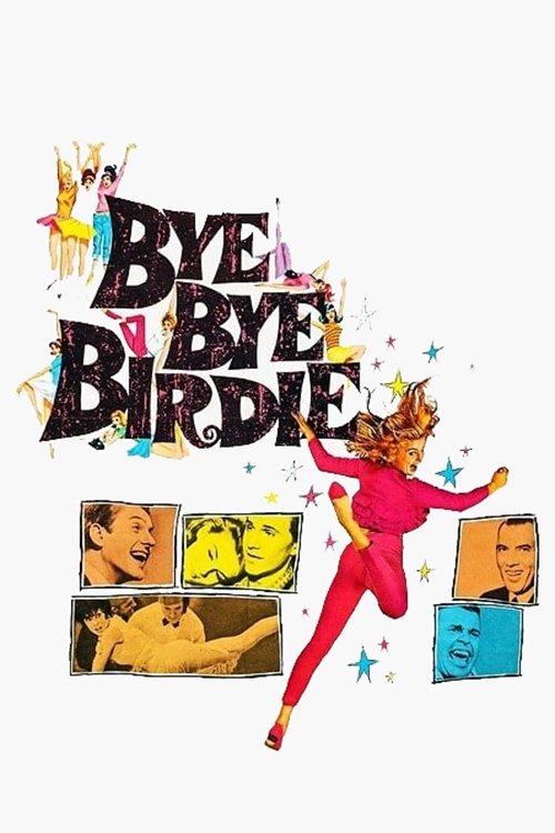 Bye Bye Birdie poster