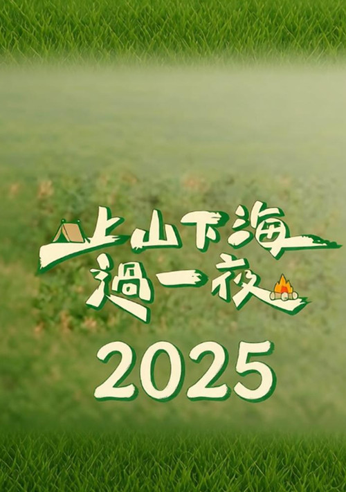 Couverture de 上山下海过一夜(2025)