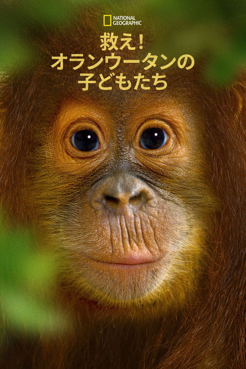 Operation Orangutan poster