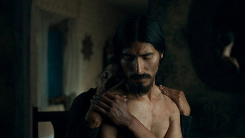 The Anatomy of the Horses