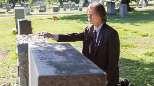 Shameless (US): 8×1