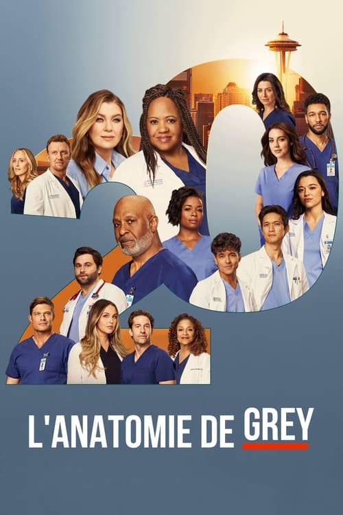 Regarder Grey's Anatomy - Saison 20 en streaming complet