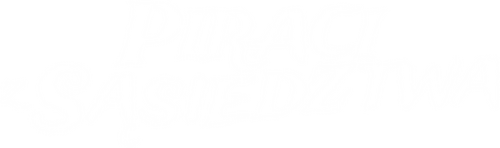 De Piraten van Hiernaast