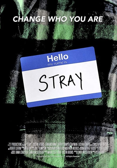 Stray 2015