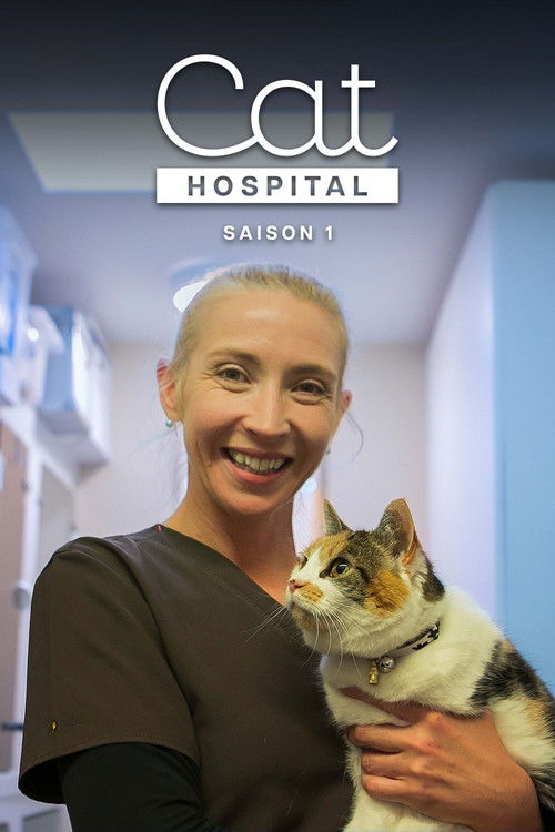 Season 1 (2019) - Season 1 poster and promotional image