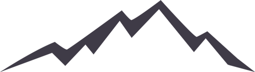 Leo Dickinson Productions Limited logo