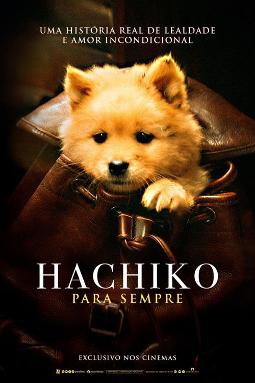 Hachiko poster