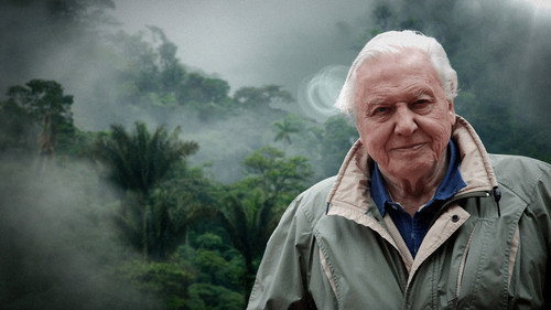 David Attenborough's Natural Curiosities