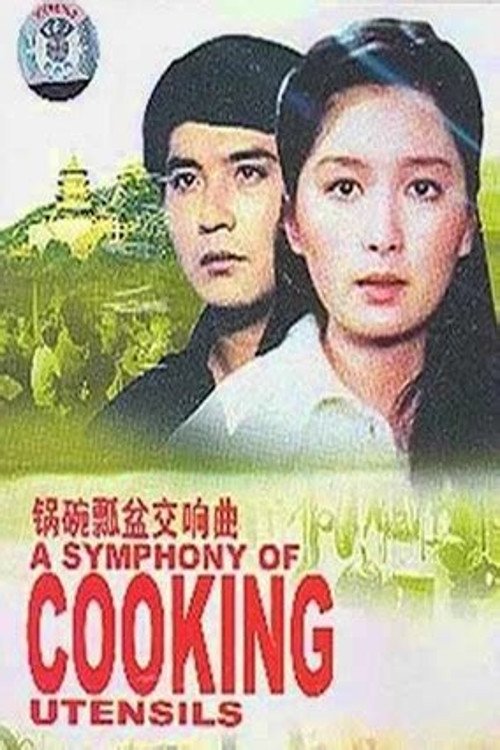 锅碗瓢盆交响曲 movie poster player