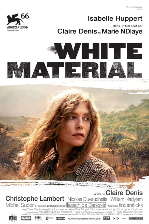 White Material (2010) poster