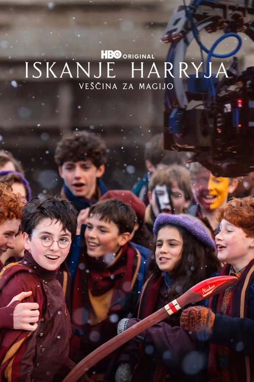 Finding Harry: The Craft Behind the Magic poster