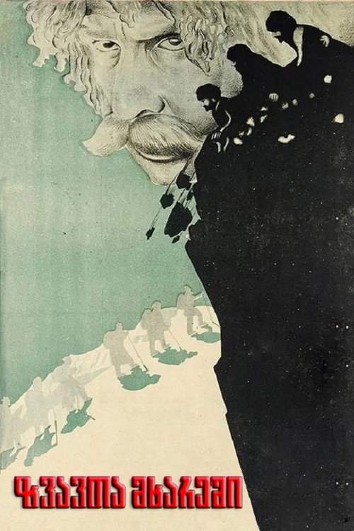 In the Area of Avalanches poster