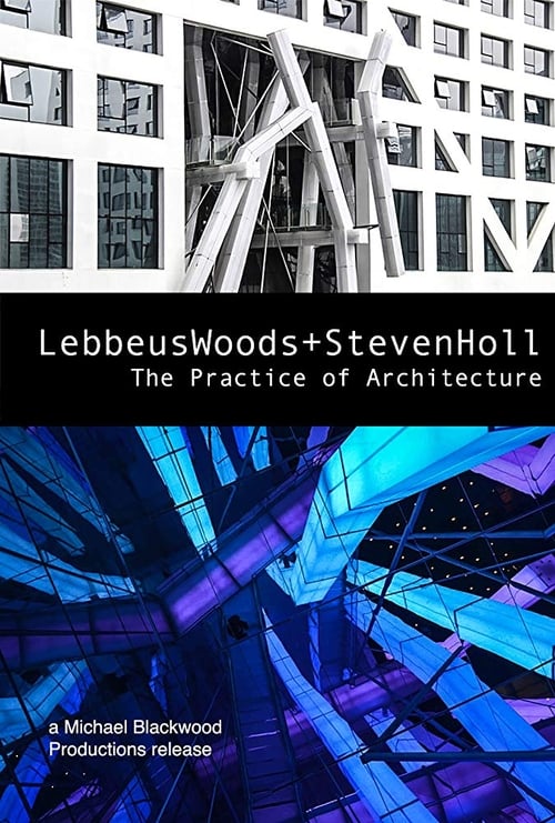 Lebbeus Woods + Steven Holl: The Practice of Architecture poster