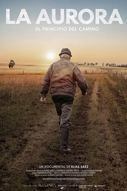 La aurora: el principio del camino