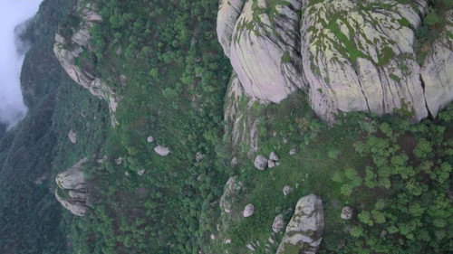 Jaquette The Shipwrecked