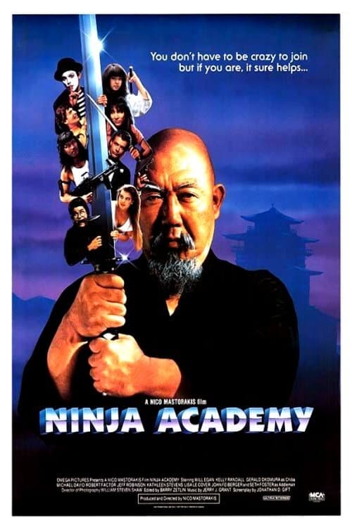 Poster do filme Ninja Academy