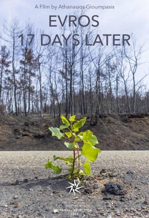 Poster image du film Έβρος 17 μέρες μετά Έβρος 17 μέρες μετά